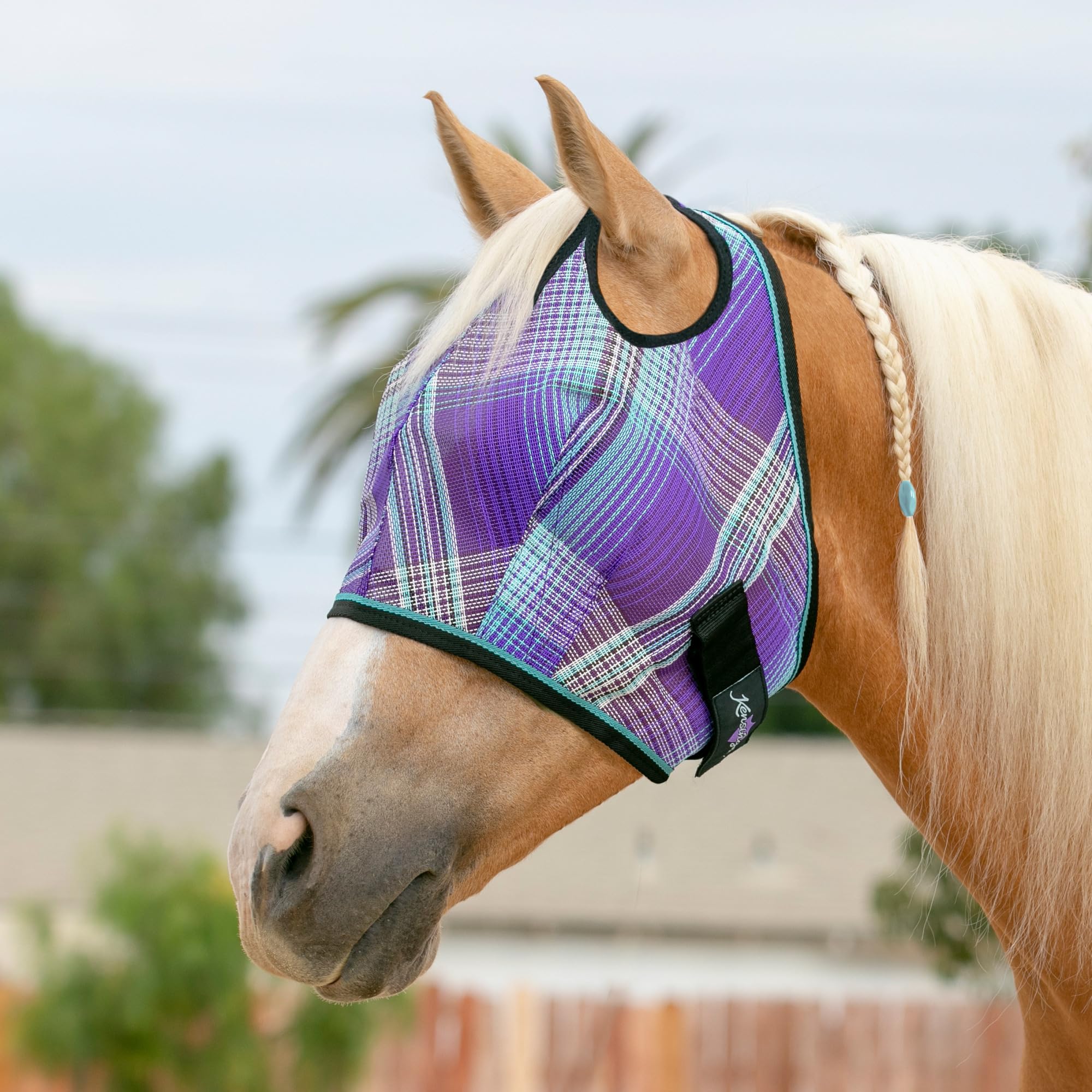 Kensington Proteccion Caballo: diseño de dos orejas para protección ocular sin cubrir la crin.