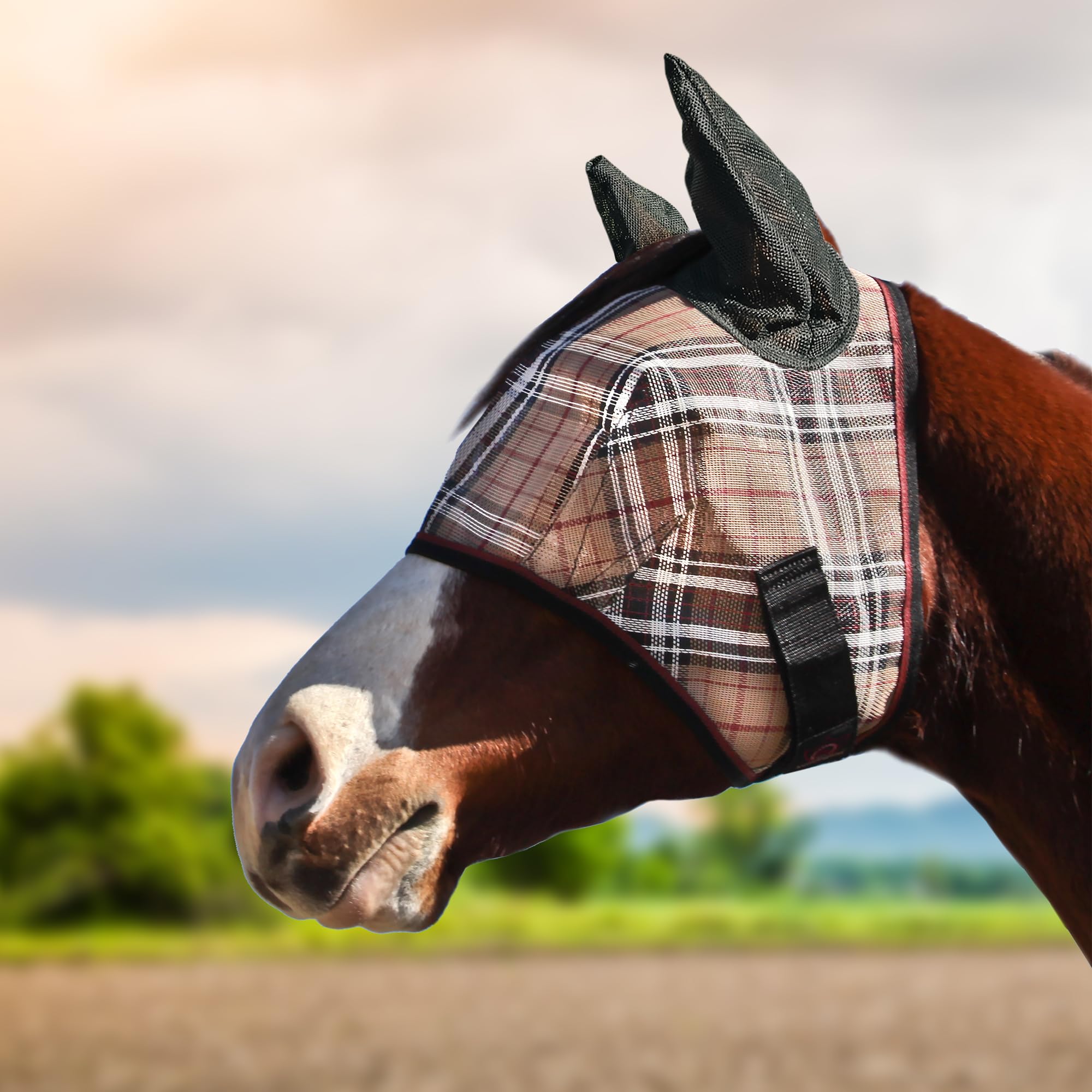 Kensington Signature Fly Mask orejas de malla suave para mayor comodidad del caballo.