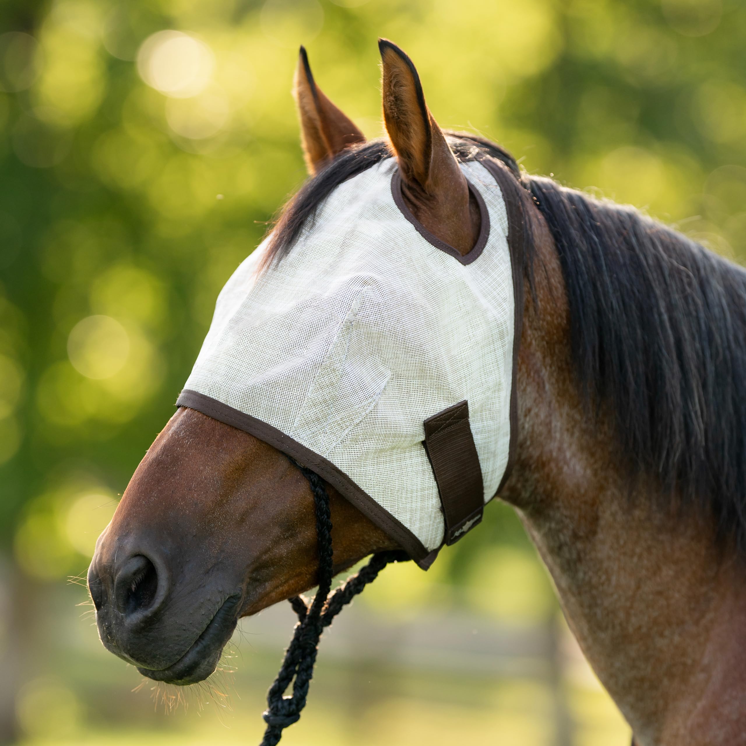 Kensington UV máscara moscas caballo cierre seguro elástico evita deslizamientos
