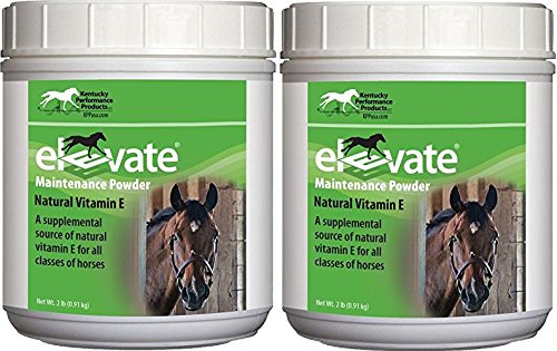 Elevate de Kentucky Performance Prod, polvo en botella, apoyo antioxidante para caballos en entrenamiento.