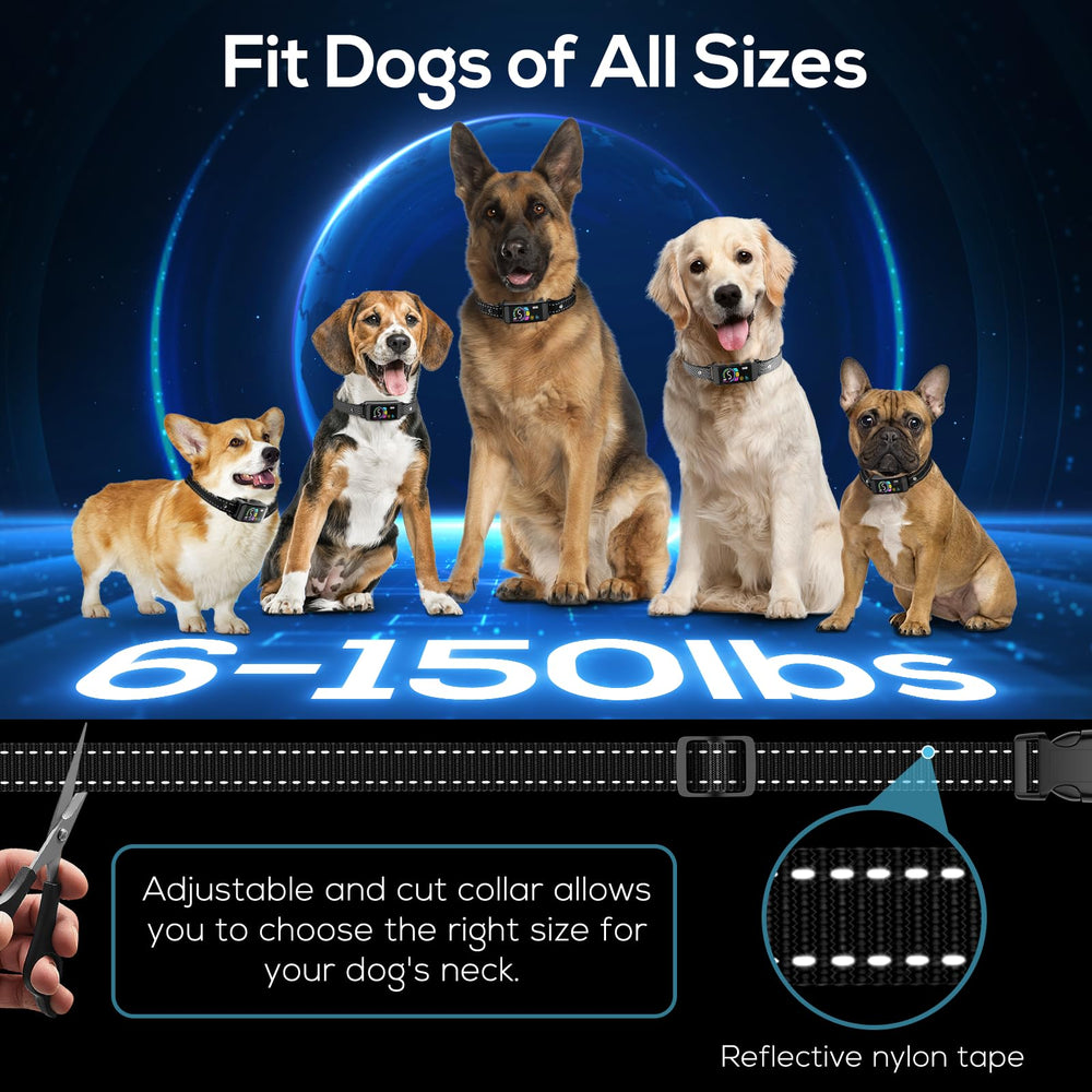 Keoge collar con indicador luminoso para controlar estado y ajustes