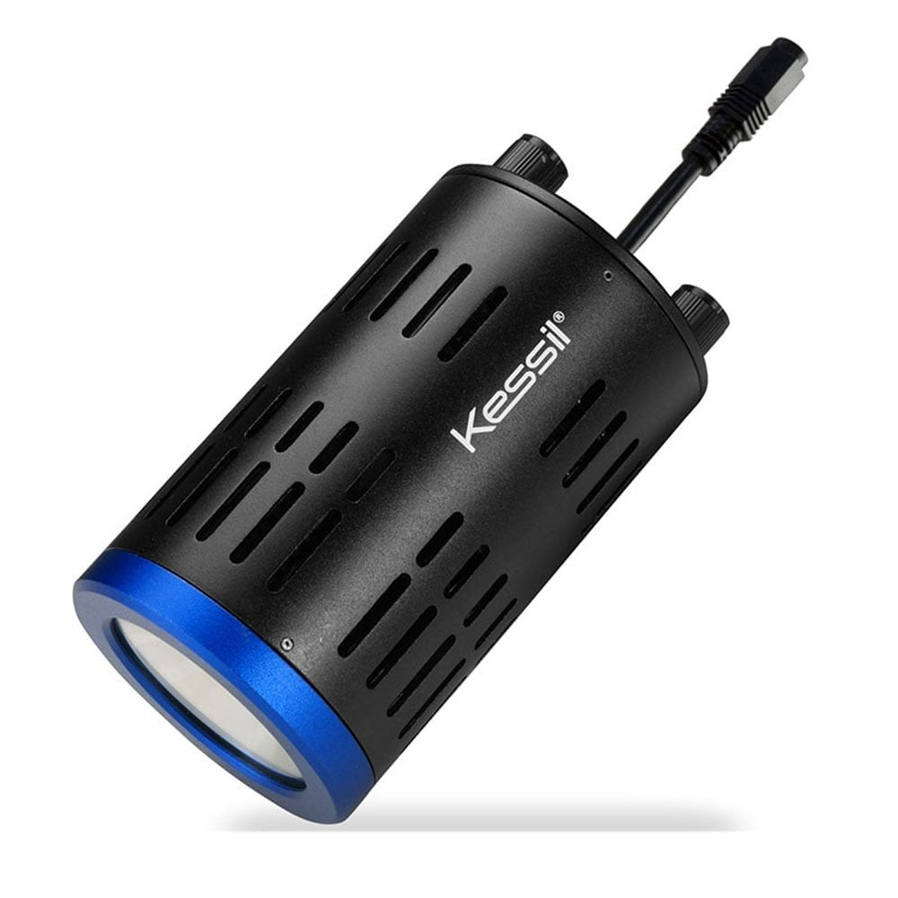 Kessil A160WE, luz de acuario Tuna Blue realza colores y claridad.