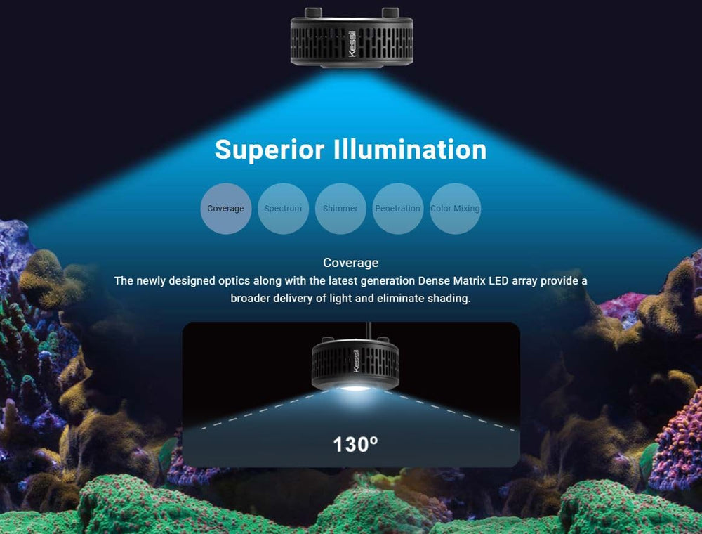 Kessil A360XE Tuna Blue instalación en tanque facilita iluminación homogénea.