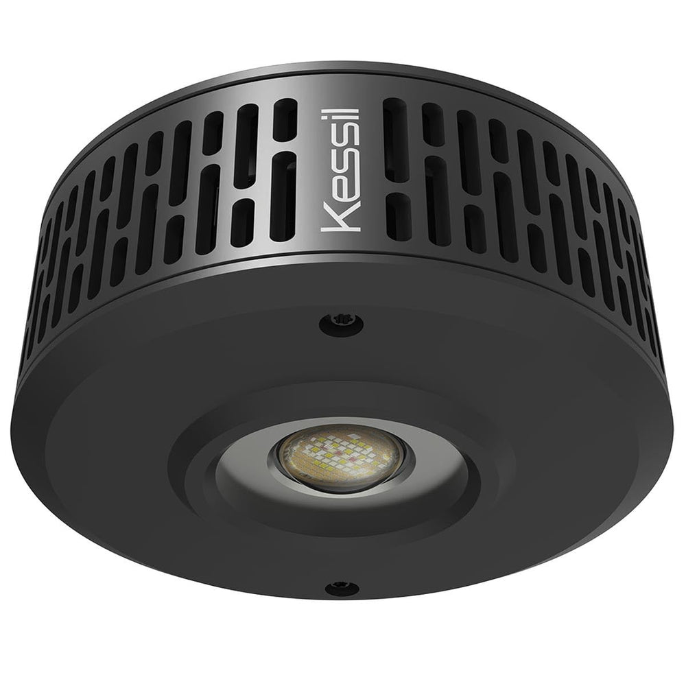 Kessil A360XE Tuna Blue ilumina el acuario, ideal para corales.