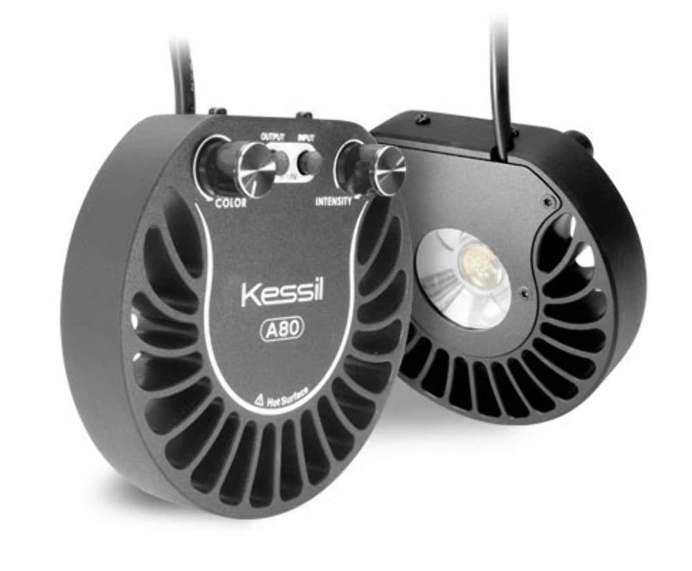 Kessil H80 Tuna Flora iluminando refugio de plantas acuáticas, favorece crecimiento saludable.