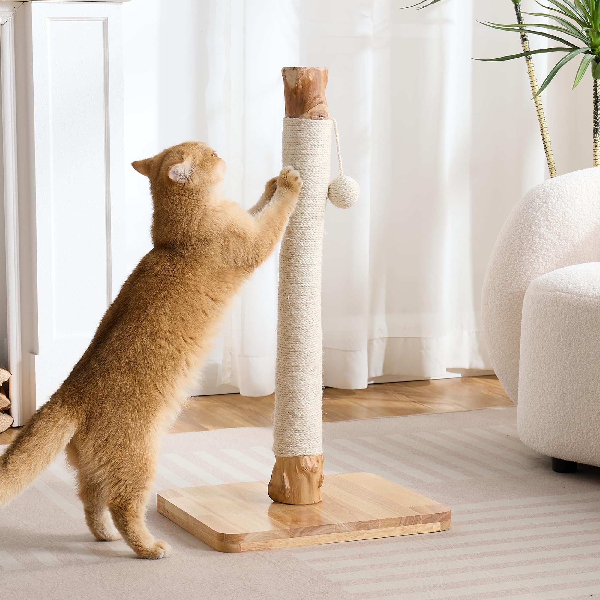 Kicari estructura estable y duradera, soporte seguro para gatos activos.