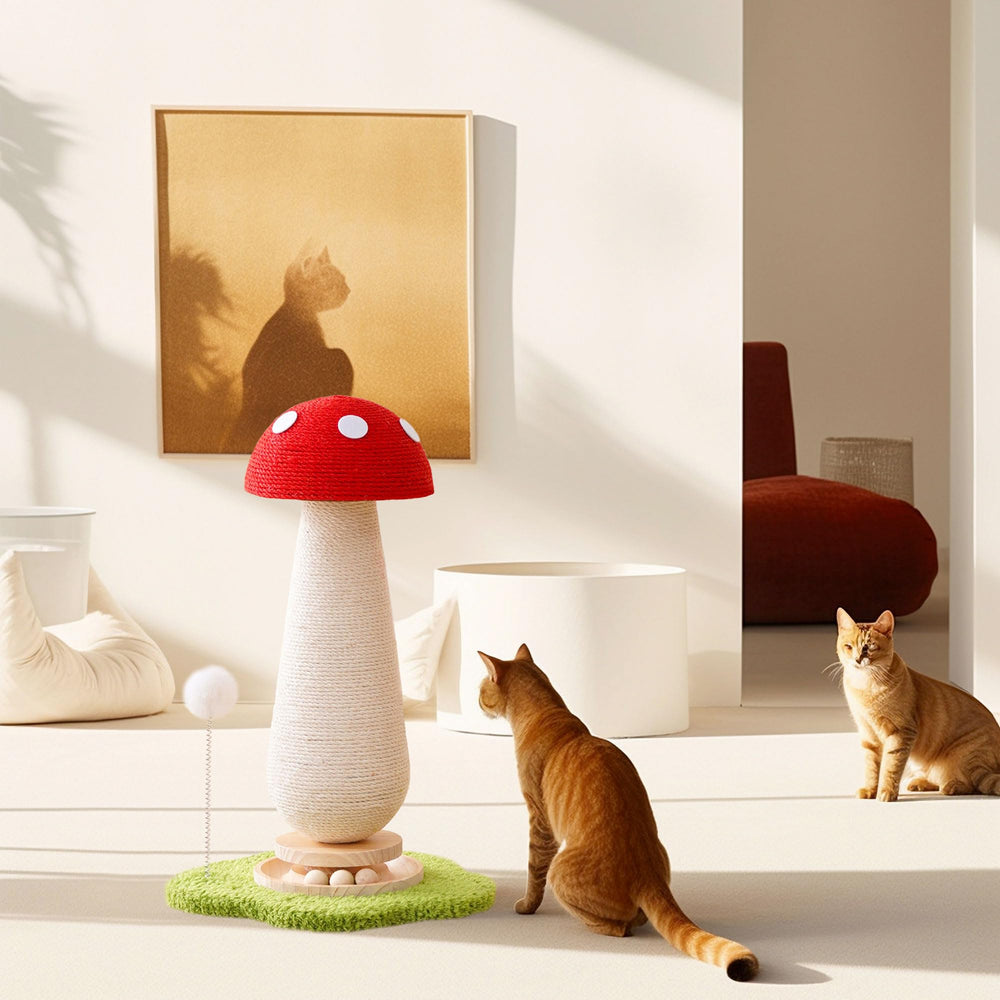 Zona de juego multifuncional de Kicari para gatos