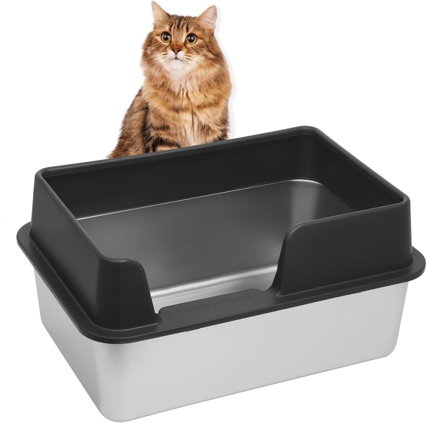 Kichwit caja de arena con mucho espacio para uso diario
