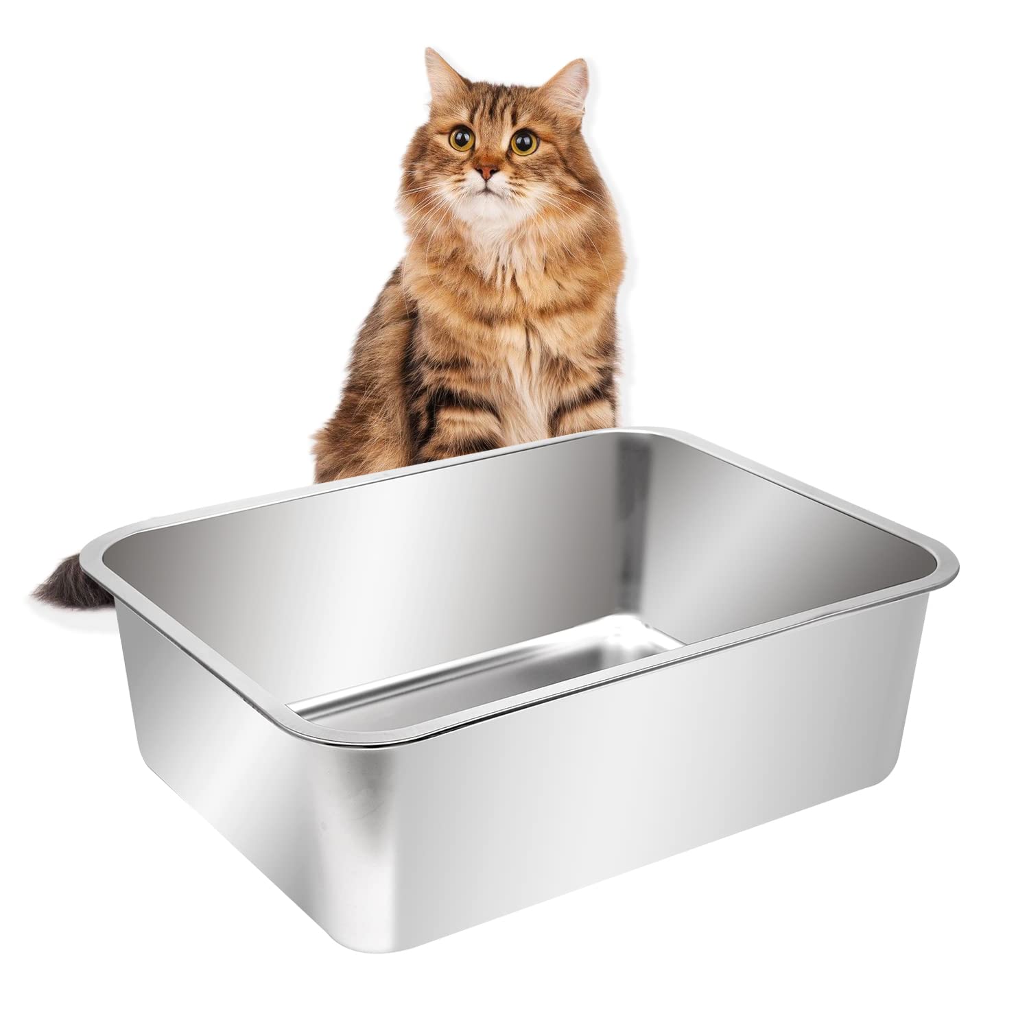 Kichwit caja-arena-gato abierta; acero inoxidable extragrande, fácil de limpiar.