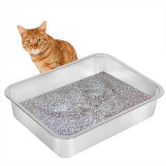 Kichwit: diseño de entrada fácil para gatitos y gatos mayores.