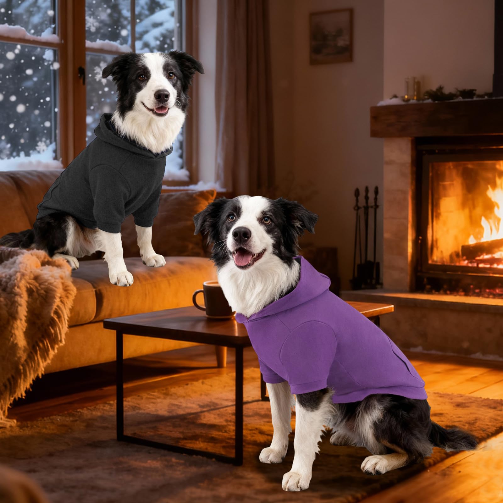 Kickred prenda para perro con mangas raglan, diseño moderno y cómodo