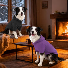 Kickred prenda para perro con mangas raglan, diseño moderno y cómodo