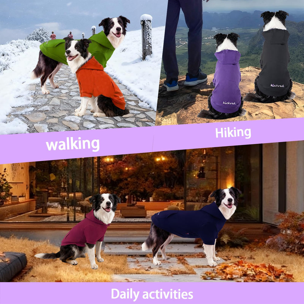 Kickred protección UV en la chaqueta para perros, ideal para días soleados
