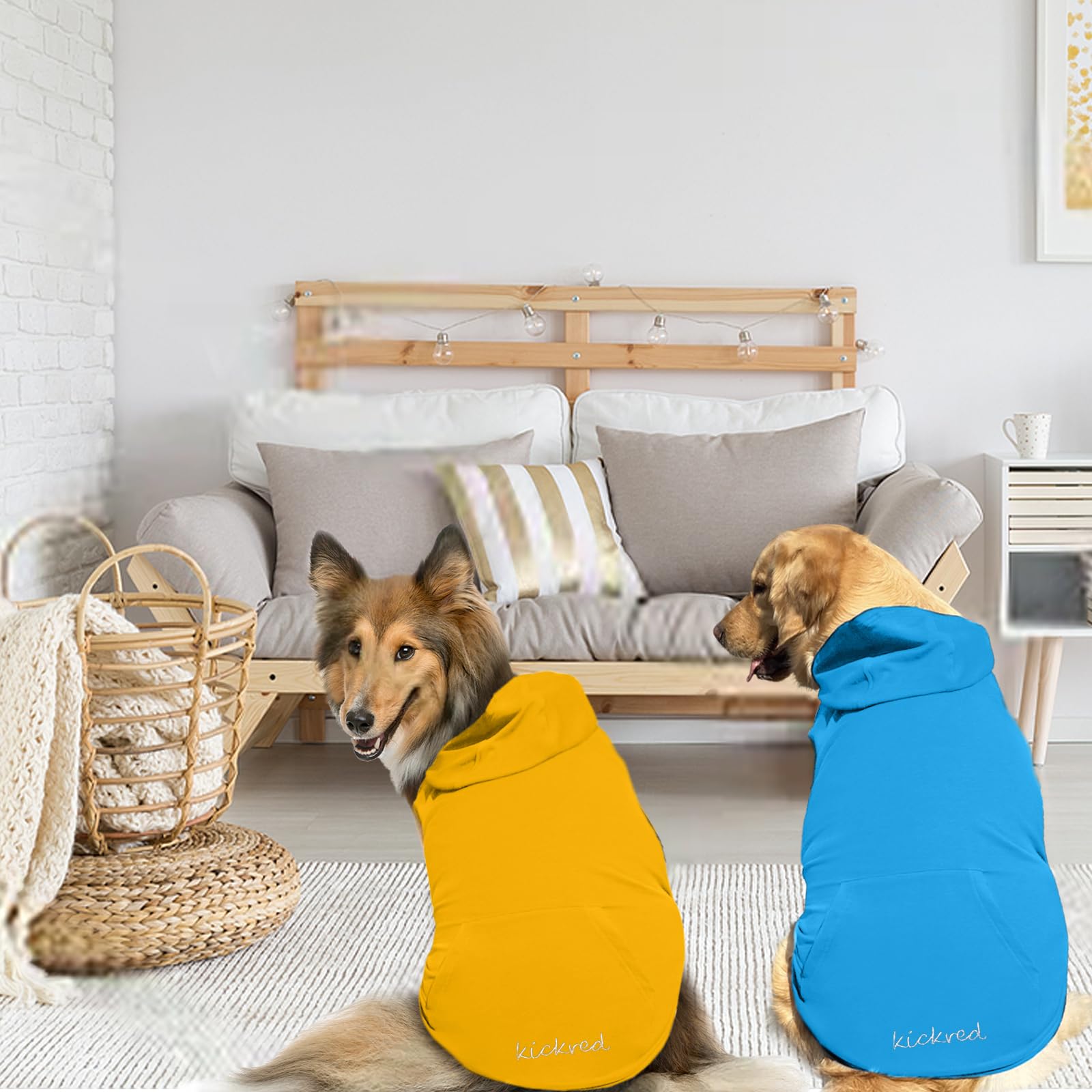 Kickred sudadera para perro uso diario, apta para todas las razas pequeñas y medianas.