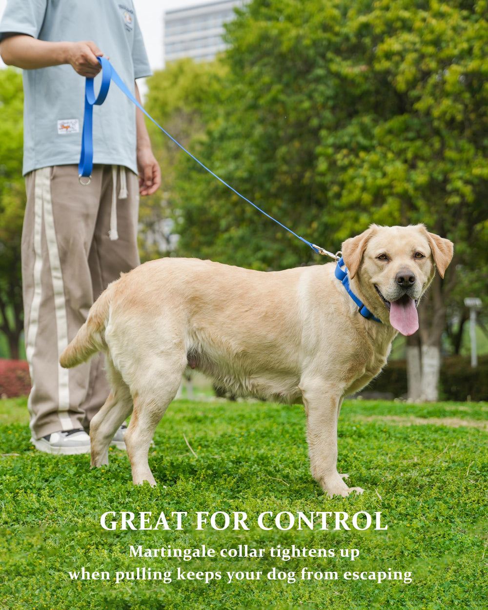 Collar de entrenamiento de Kidding Pets para mejorar el control durante las caminatas