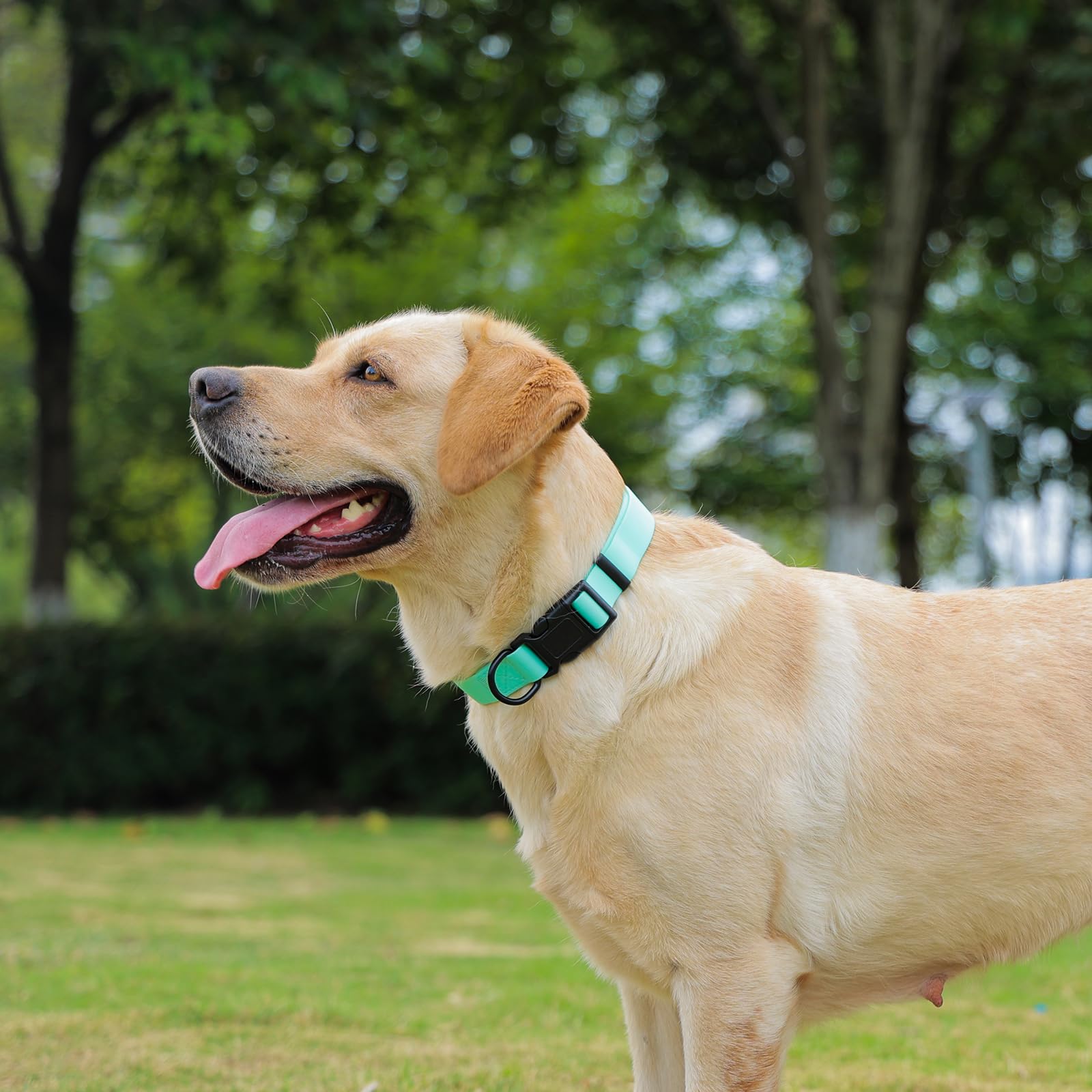Kidding Pets collar fácil de limpiar con paño húmedo