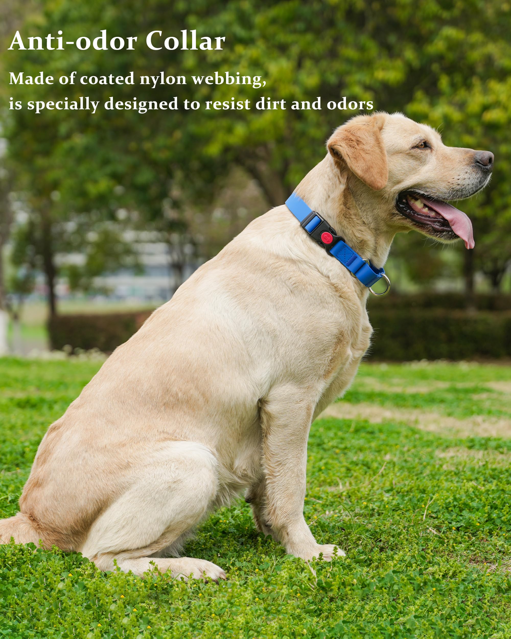 Kidding Pets collar impermeable, fácil de limpiar con un paño