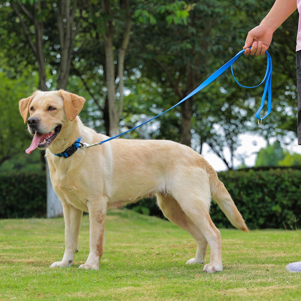 Kidding Pets collar impermeable azul, color duradero para actividades al aire libre.