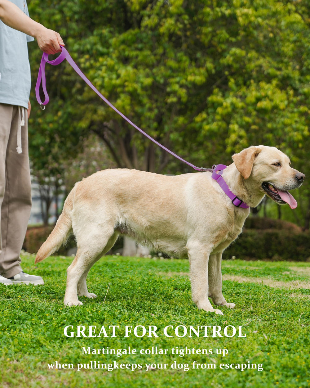 Kidding Pets Collar Martingale entrenamiento, control suave durante caminatas.