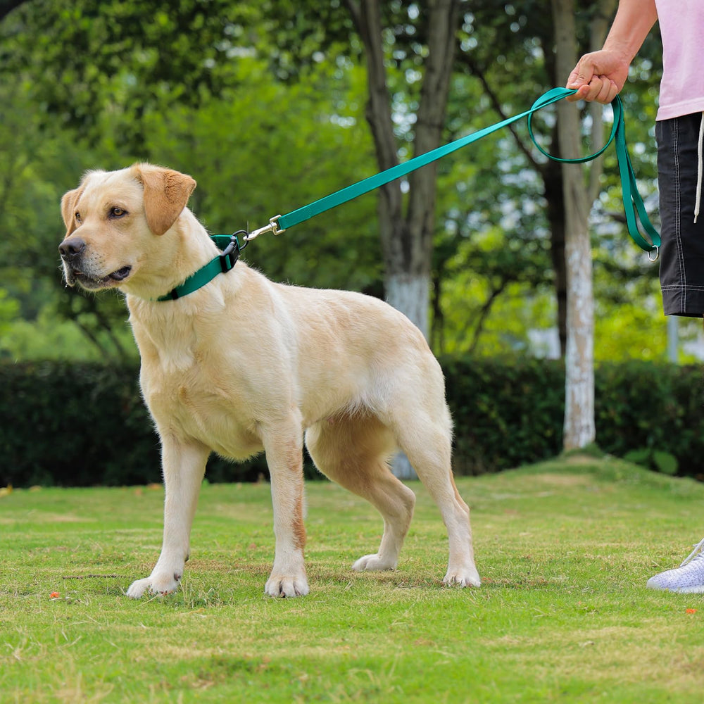 Ajuste rápido del collar KIDDING PETS para colocar sin esfuerzo.