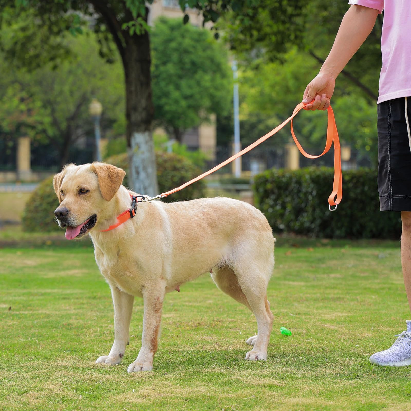 Variedad de tallas y colores para adaptar al perro.