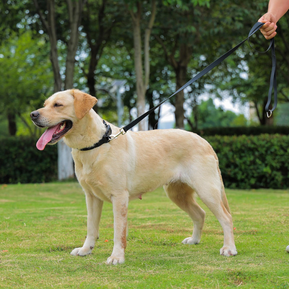 Kidding Pets collar para uso al aire libre con resistencia.