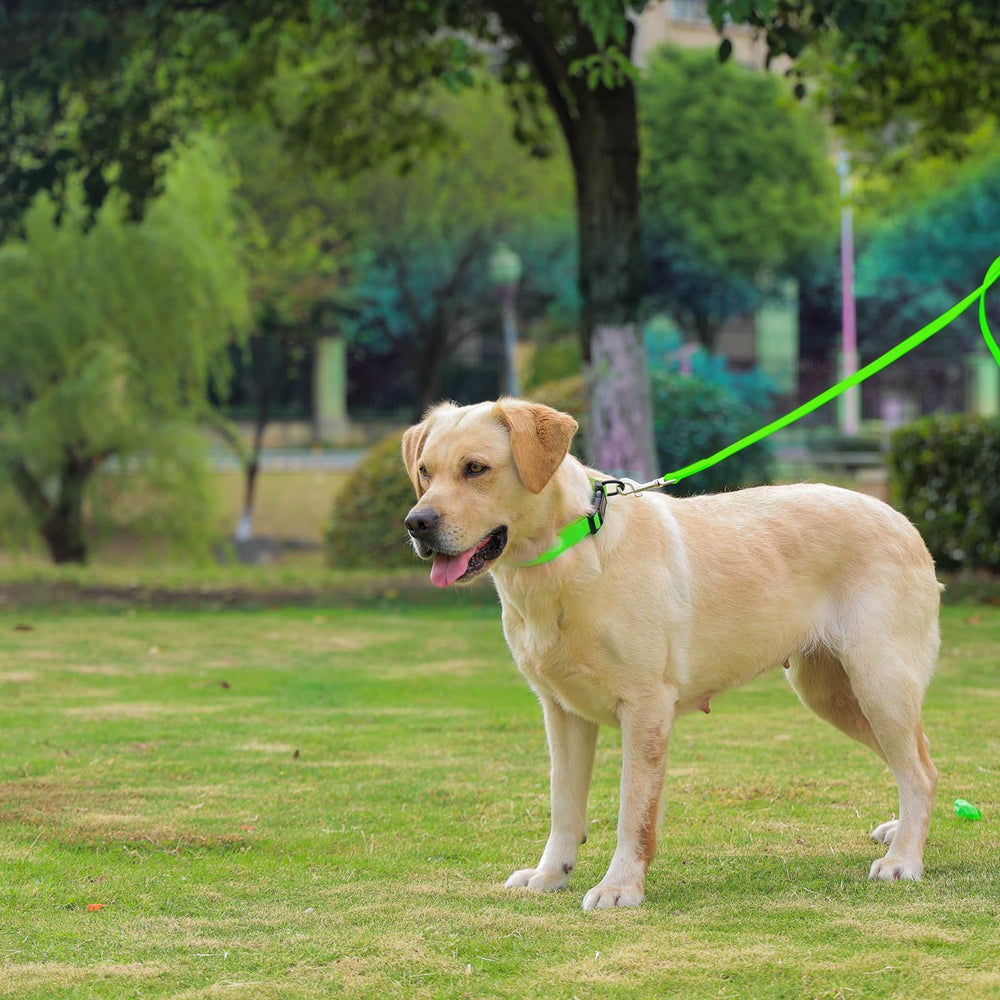 Collar Kidding Pets con tallas ajustables para perros pequeños, medianos y grandes