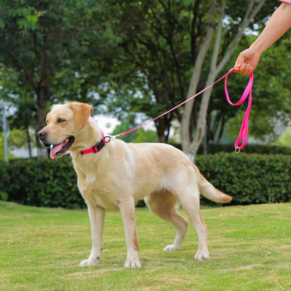 Collar Kidding Pets para exteriores, resistente al barro y al agua.