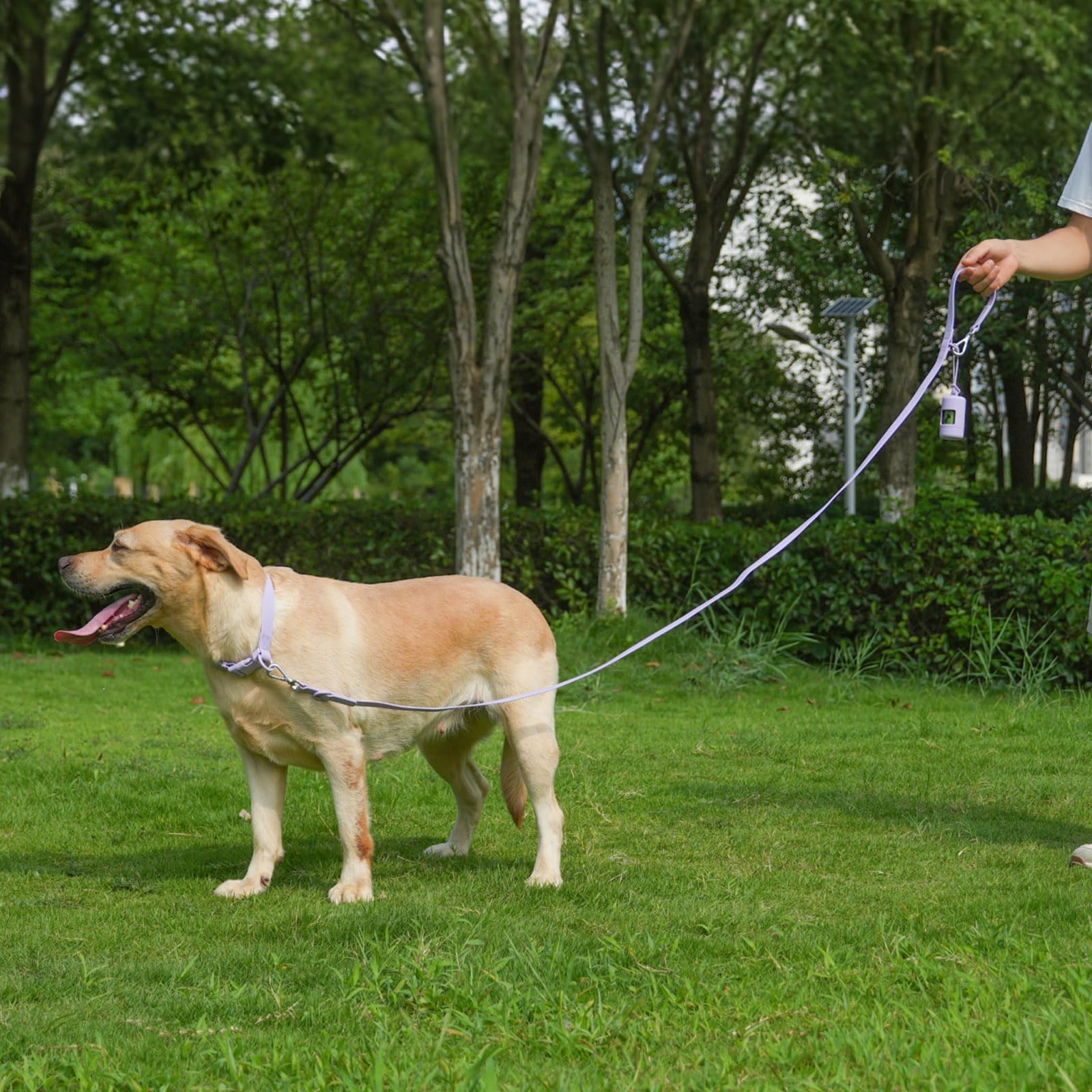 Kidding Pets: correa impermeable 6 pies, ideal para mayor alcance y control.