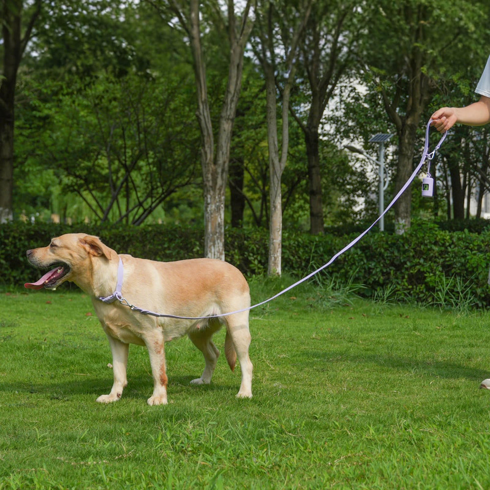 Kidding Pets: correa impermeable 6 pies, ideal para mayor alcance y control.