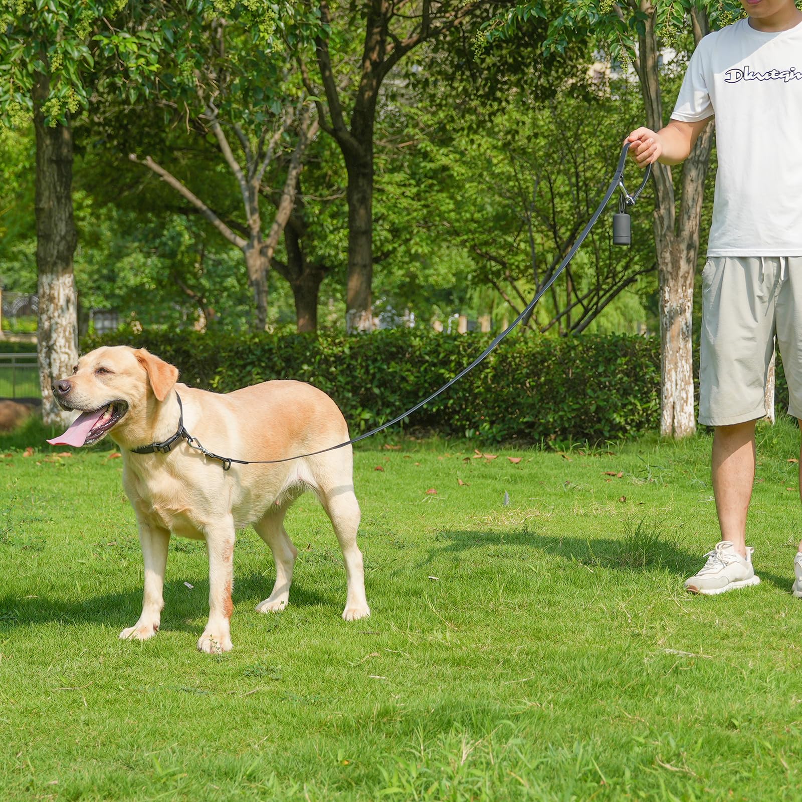 KIDDING PETS dispensador de bolsas, práctico para recogida rápida