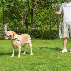 KIDDING PETS dispensador de bolsas, práctico para recogida rápida