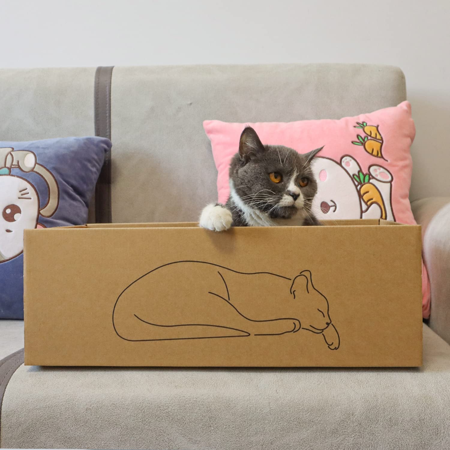 Kidding Pets hierba-gato incluida para estimulación suave.