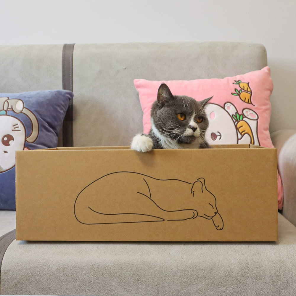 Kidding Pets hierba-gato incluida para estimulación suave.