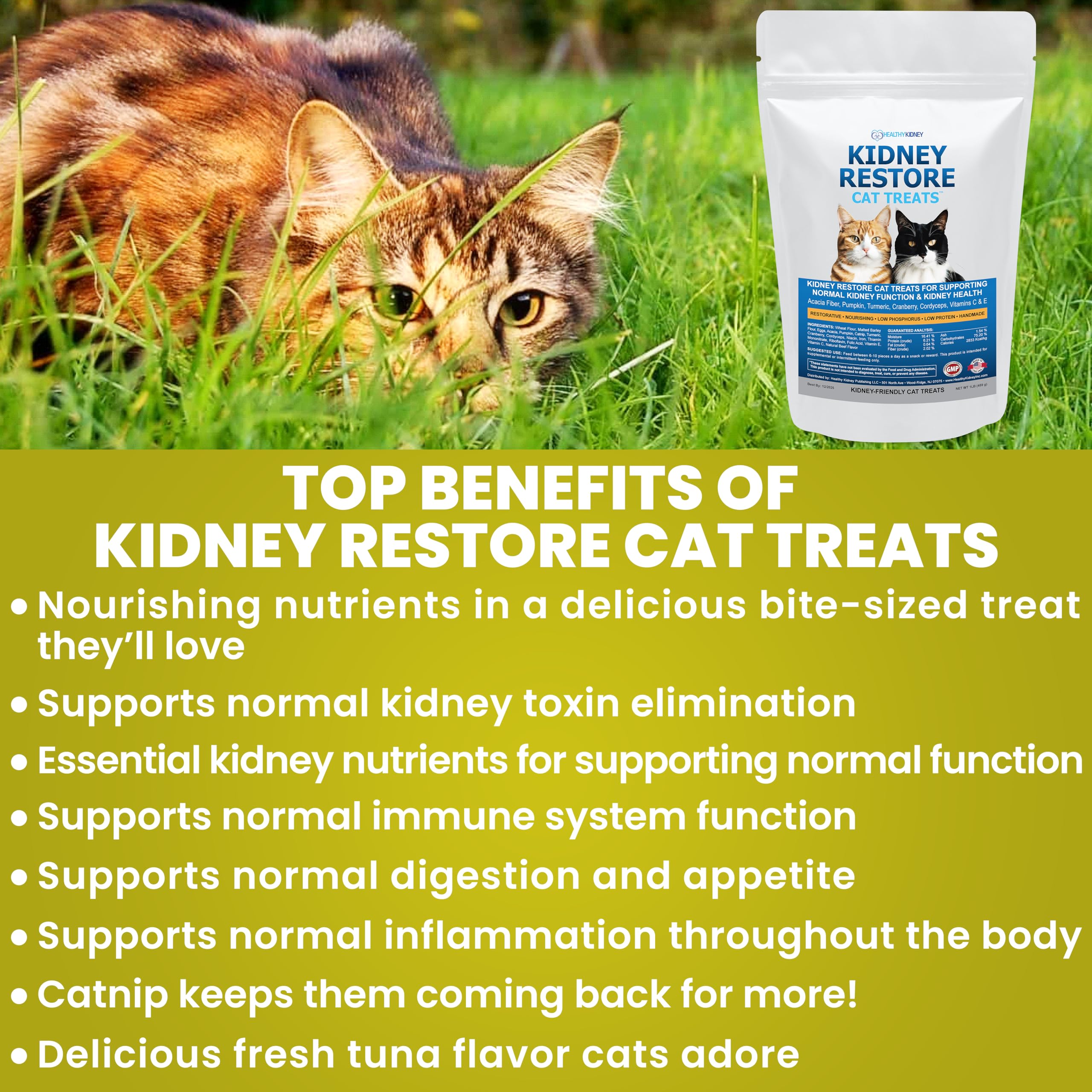 Gato comiendo un bocadito Kidney Restore, muestra disfrute y facilidad de consumo.