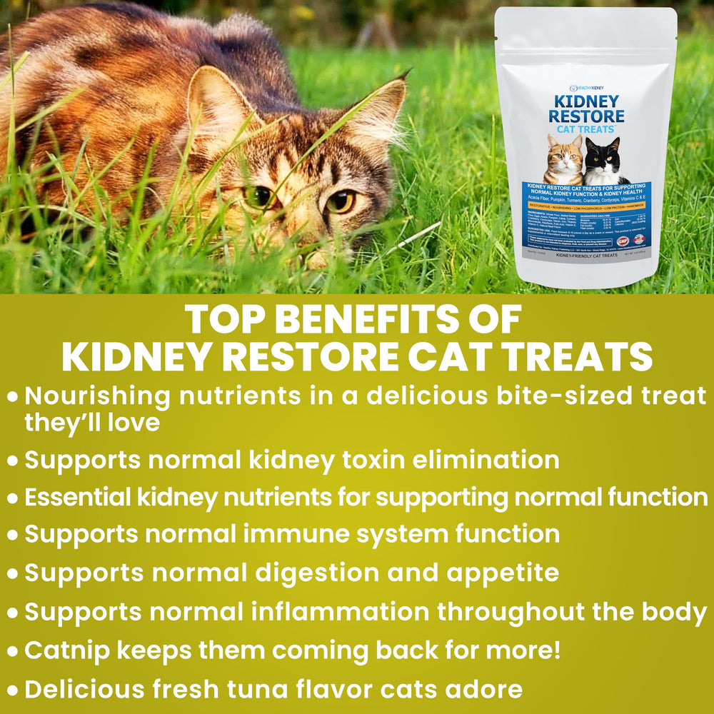 Gato comiendo un bocadito Kidney Restore, muestra disfrute y facilidad de consumo.