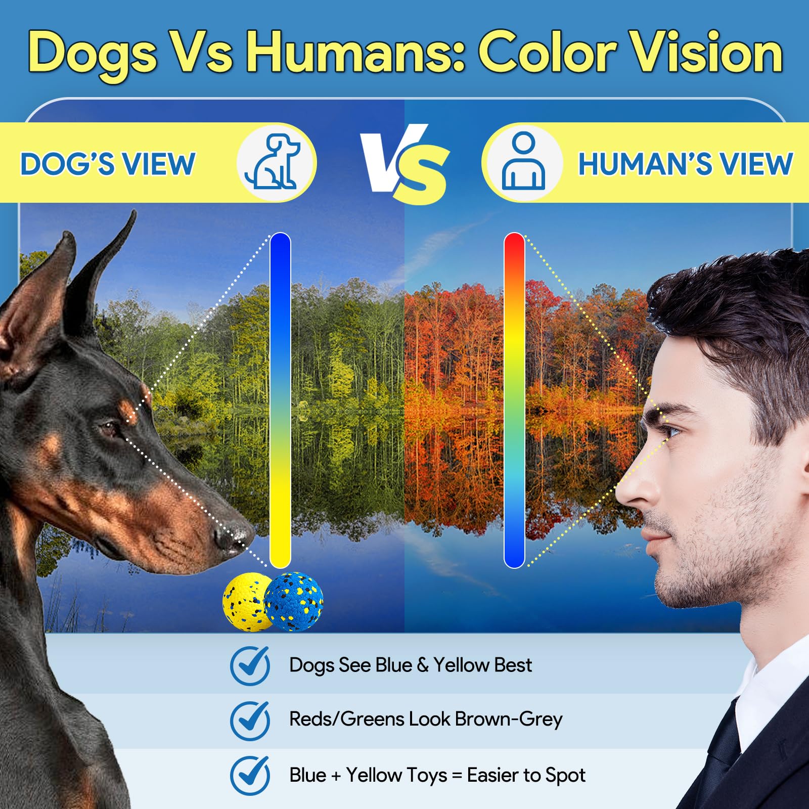 Bolas Kimee de color azul y amarillo, fácil reconocimiento por la mascota