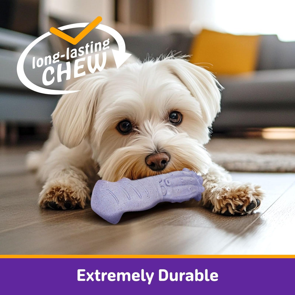 Kimee jibia tono natural, higiene dental durante el juego