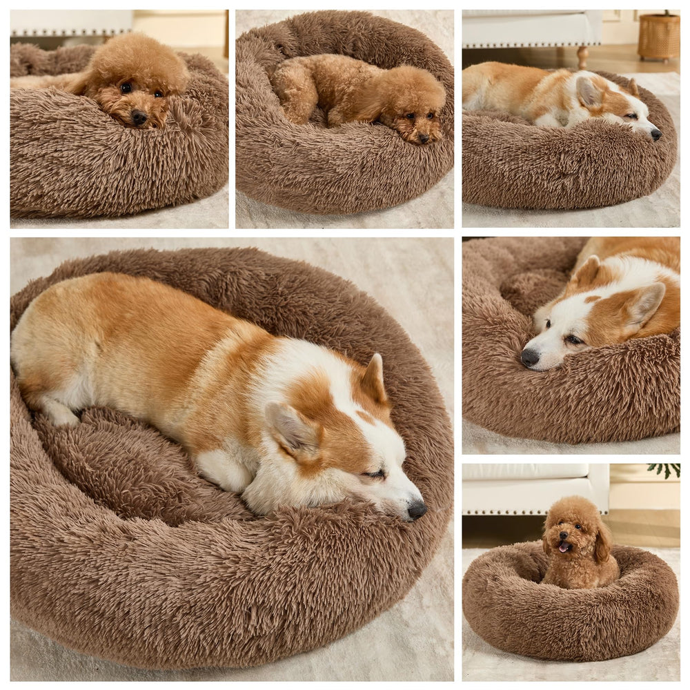 Borde alto de la cama Kimpets, brinda seguridad y confort para acurrucarse.