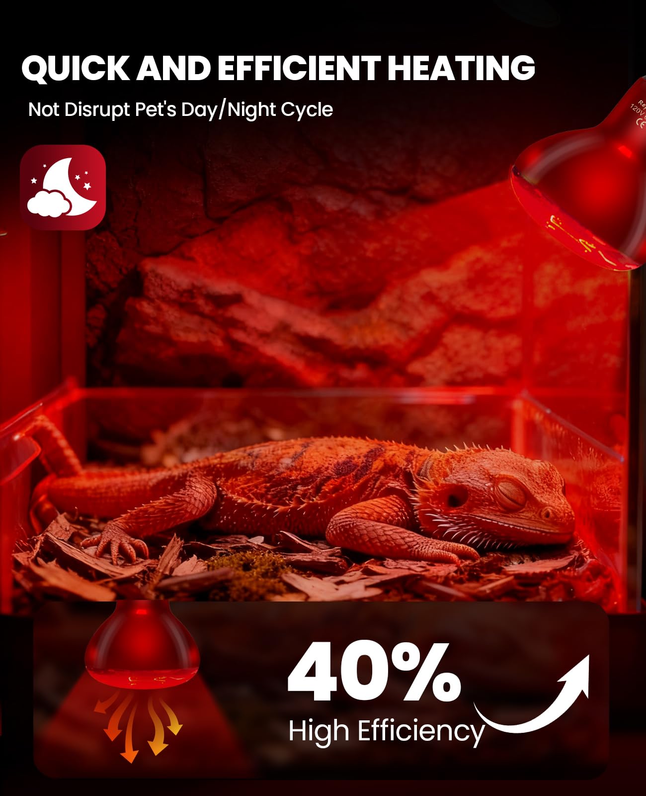 KINDEEP  calor rápido para reptiles con temperatura estable.
