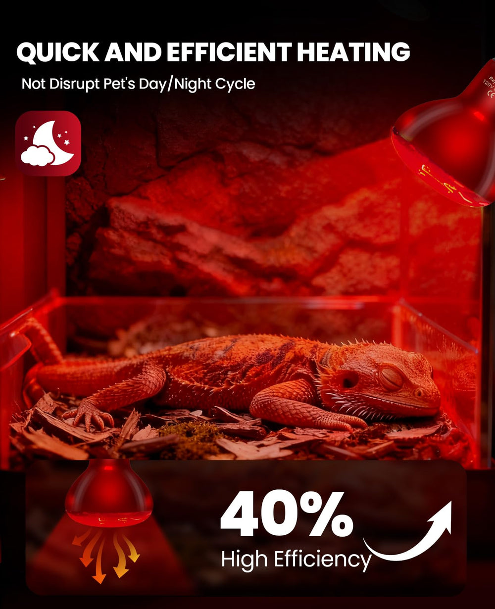 KINDEEP  calor rápido para reptiles con temperatura estable.