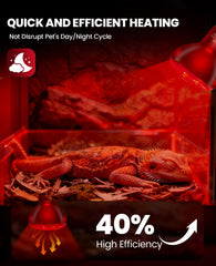KINDEEP  calor rápido para reptiles con temperatura estable.