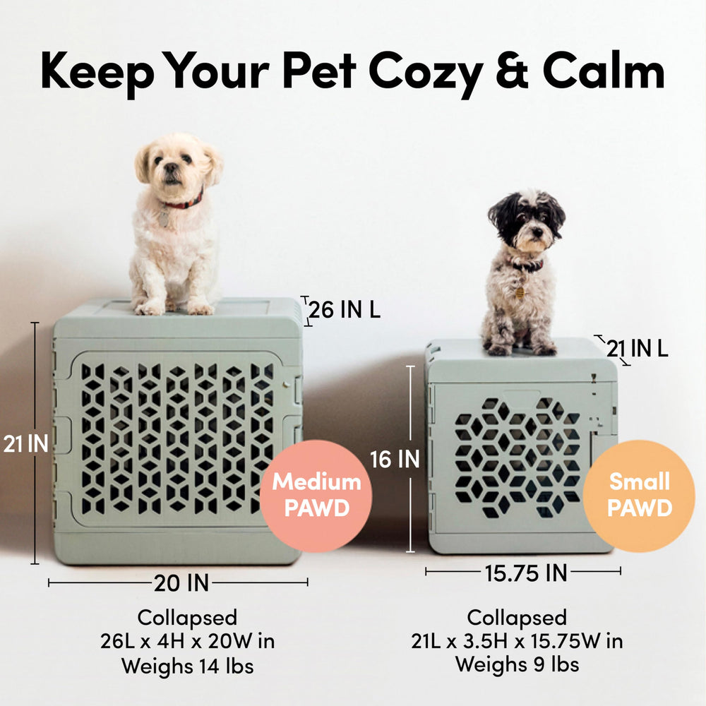 KindTail PAWD estilo decorativo que encaja en tu hogar