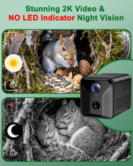 KinetCam panel solar de 8W para alimentación continua al aire libre.