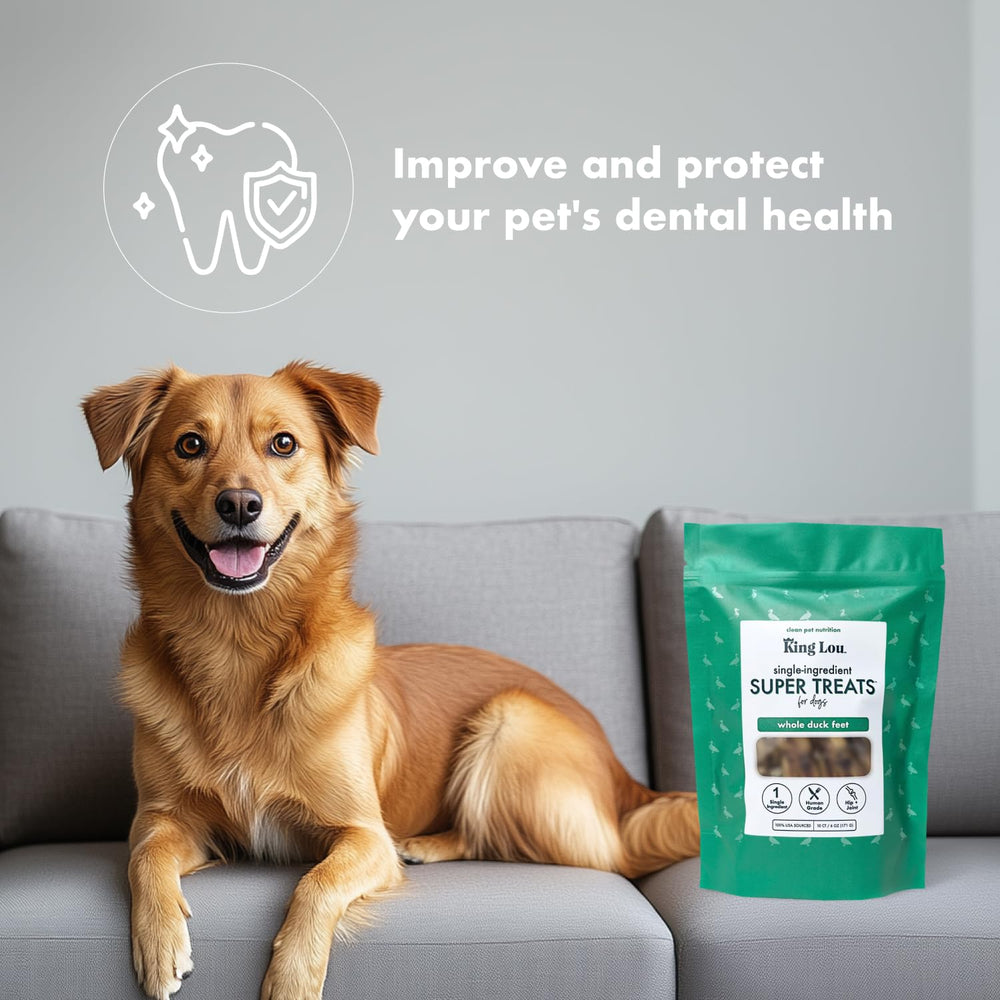 King Lou Pets envase seguro para mascotas y uso diario.