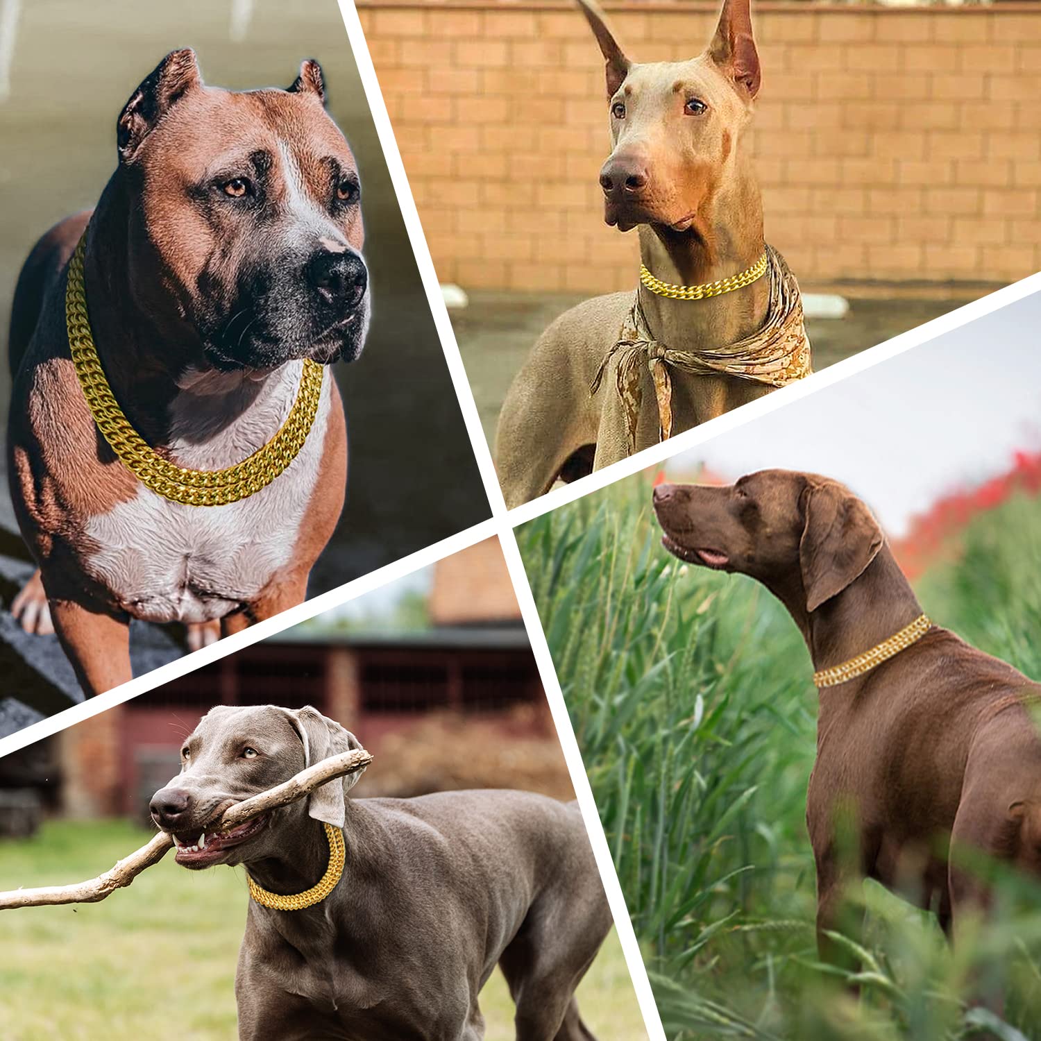 KINGOLDOGS collar-cadena oro 18k resistencia: diseño duradero para uso diario.