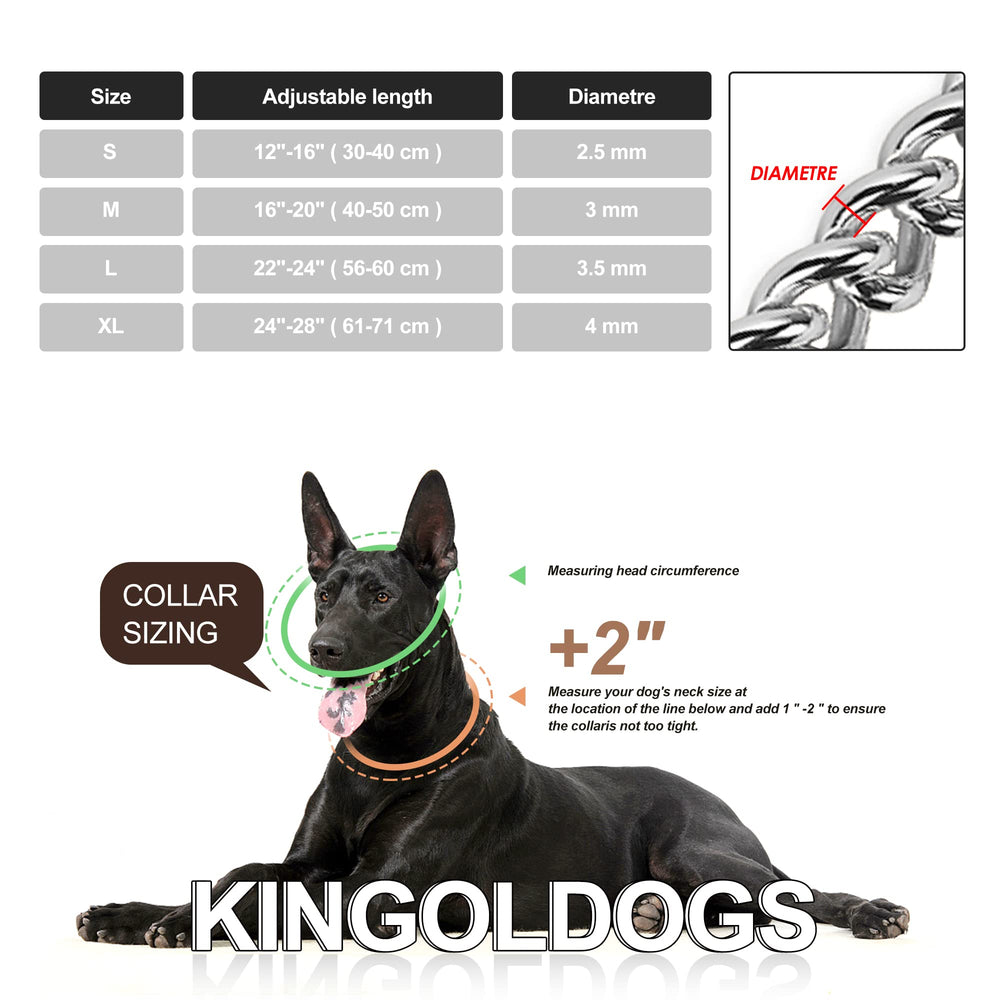 Kingoldogs collar plata robusto ideal para paseos y entrenamiento
