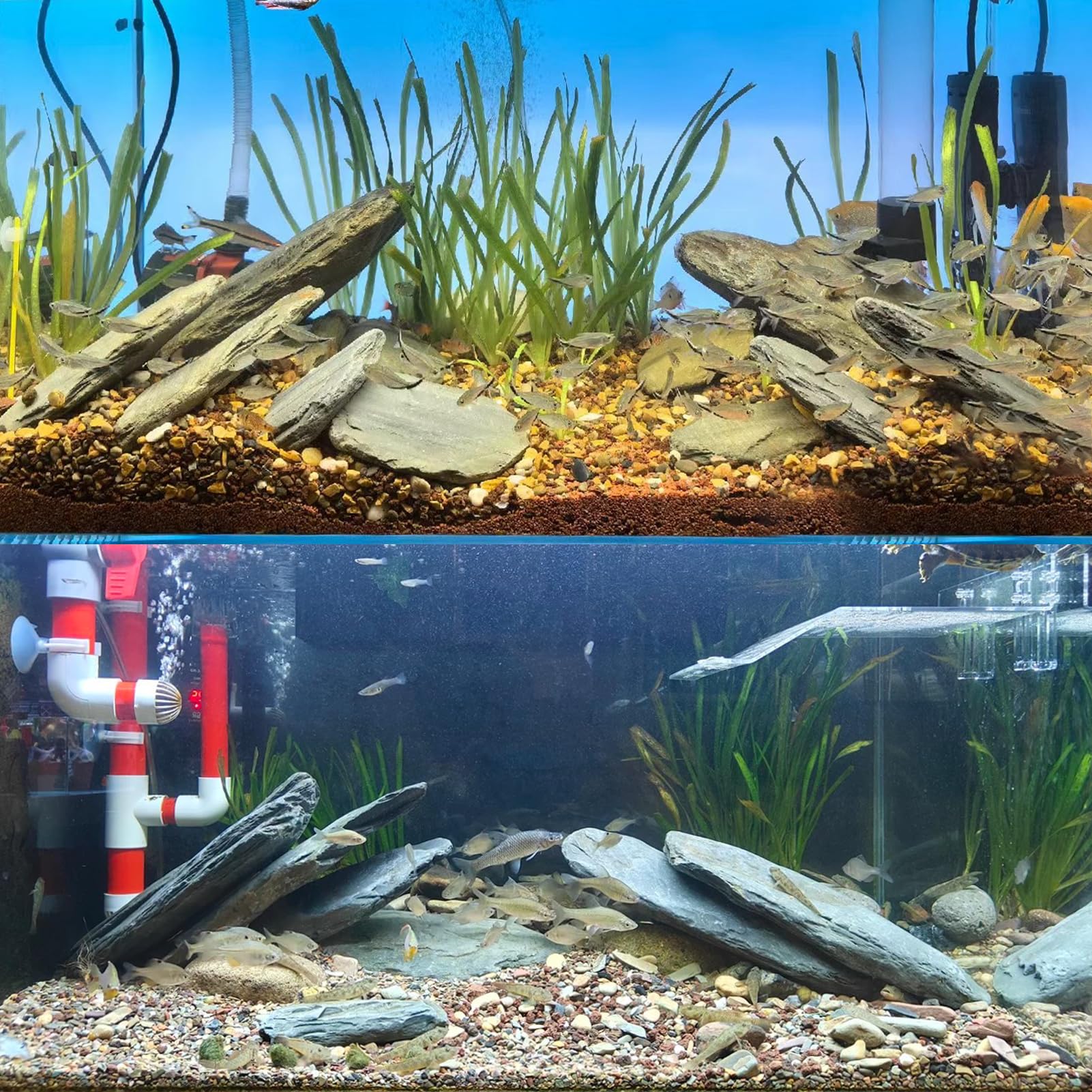 Piedras de laja rectas KINGRUI para estructurar acuario