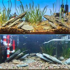 Piedras de laja rectas KINGRUI para estructurar acuario