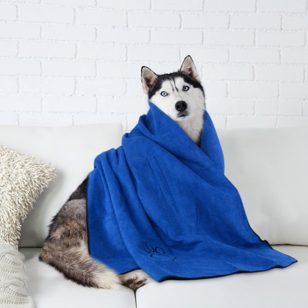 Uso en días de lluvia para mantener a la mascota cálida.